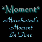 "Marchwind's Moment In Time" Blue Italian Greyhound Male